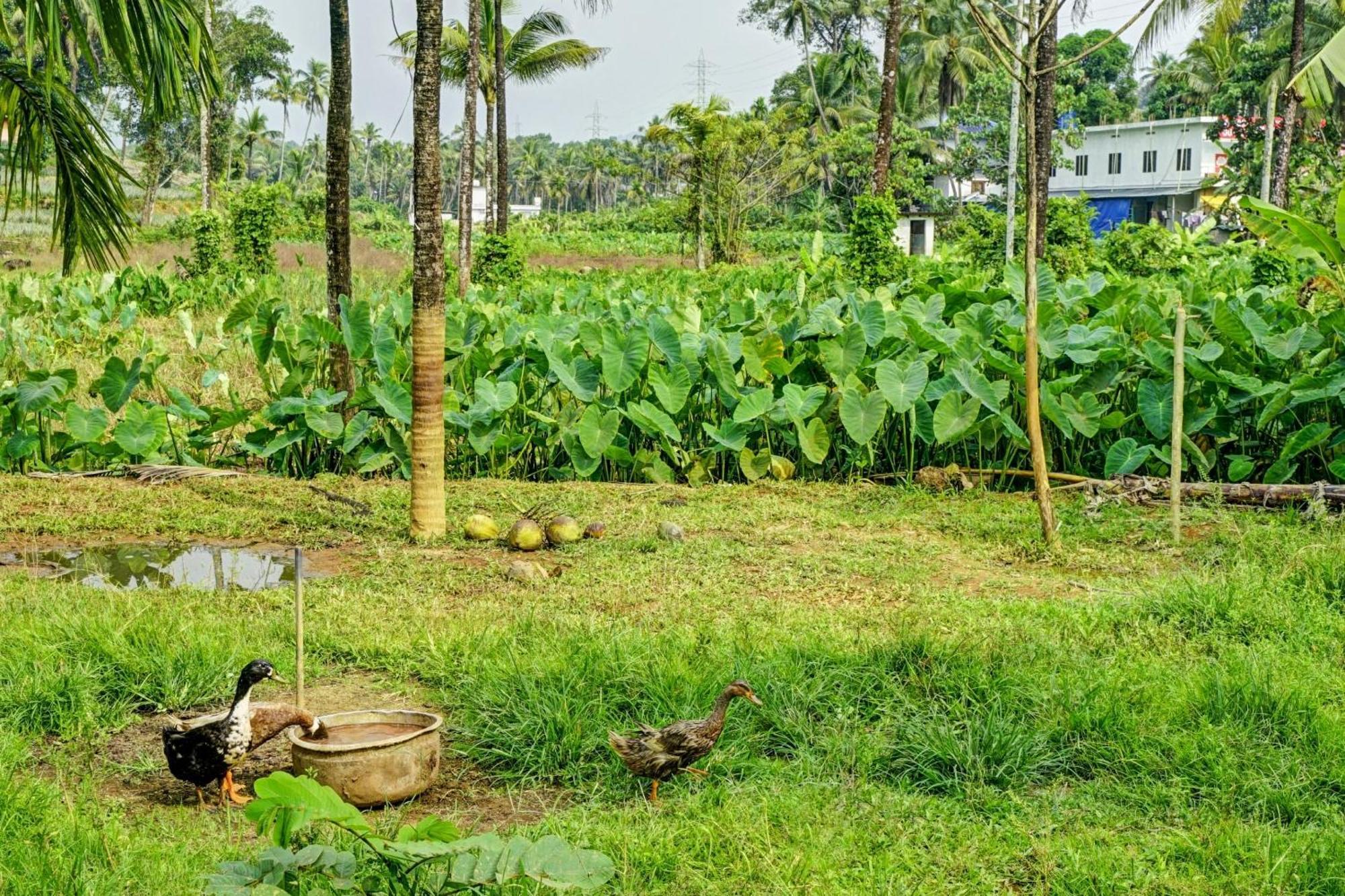 Spot On Shalom Palace Residency Neriyamangalam Exterior foto